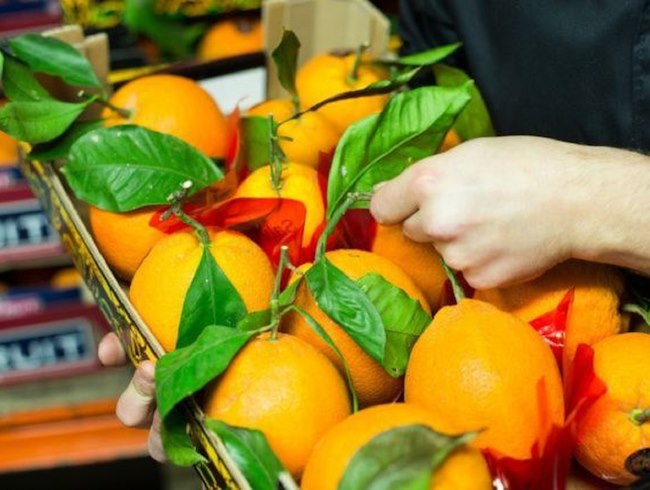 Partnerships with Local Suppliers